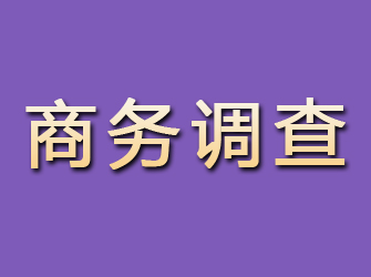 龙岗商务调查